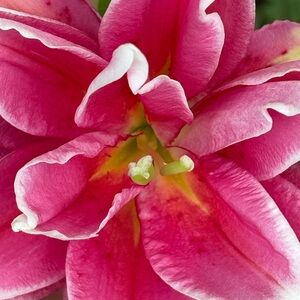 Meet your Posher, Leah